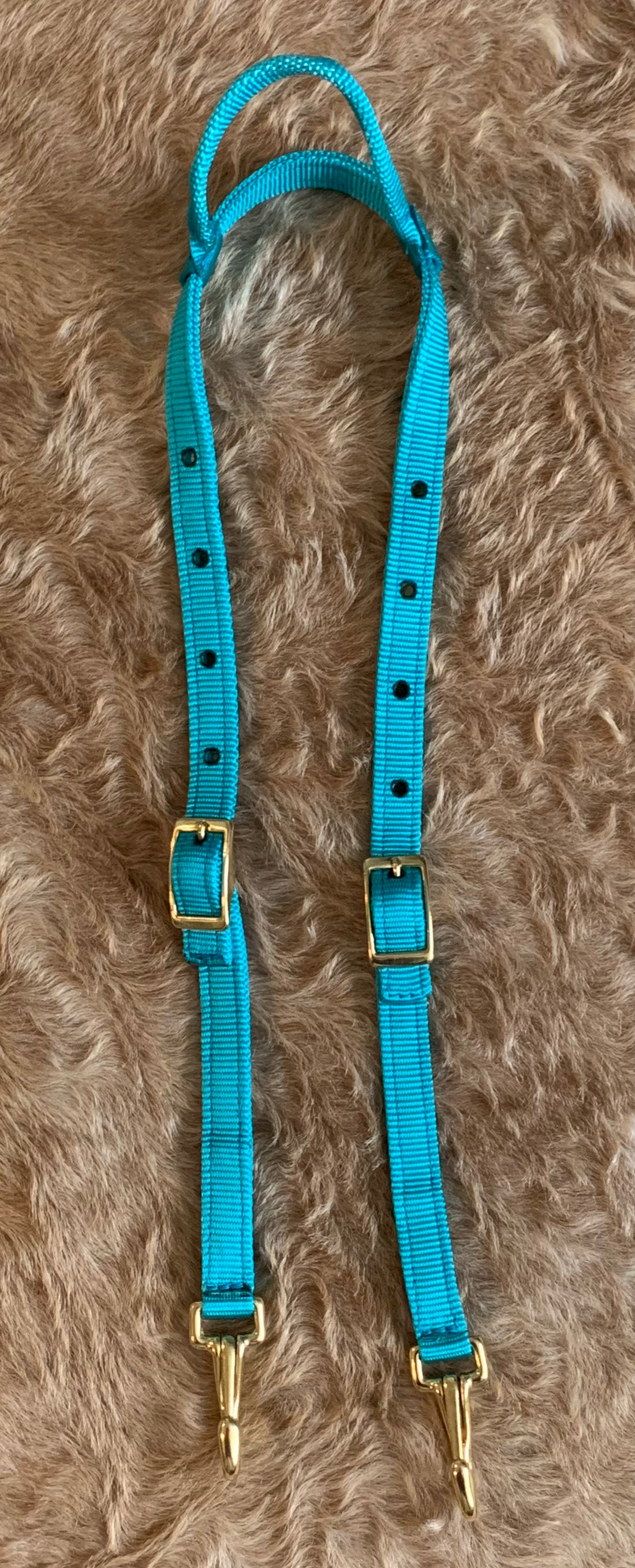 One Ear Nylon Headstall with Clip Ends - TURQUOISE