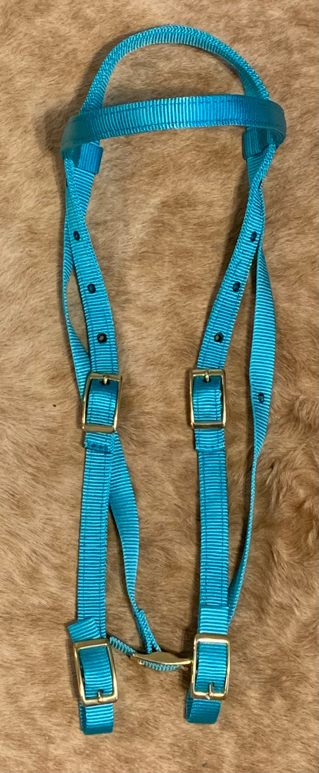 Browband Nylon Headstall with Buckle ends - TURQUOISE