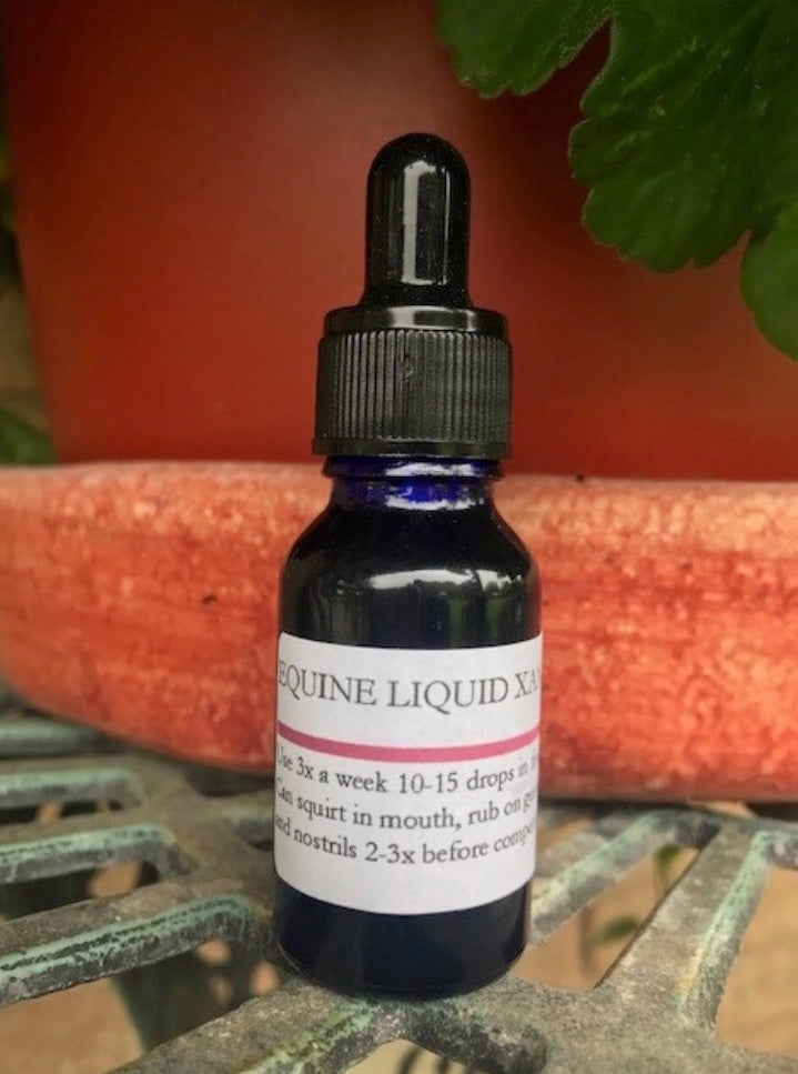 Equine Liquid X Plus