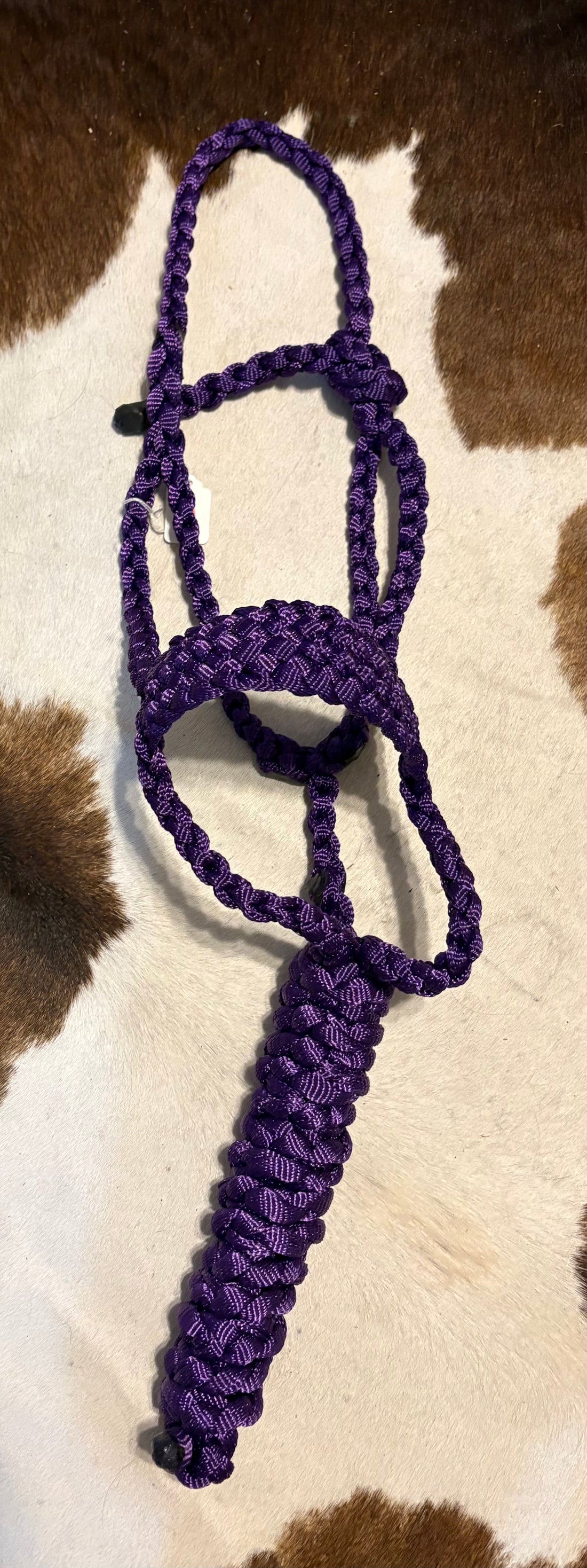 HALTERS: NYLON, MULE TAPE, HYBRID, ROPE