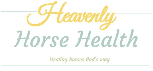 HEAVENLY HORSE HEALTH