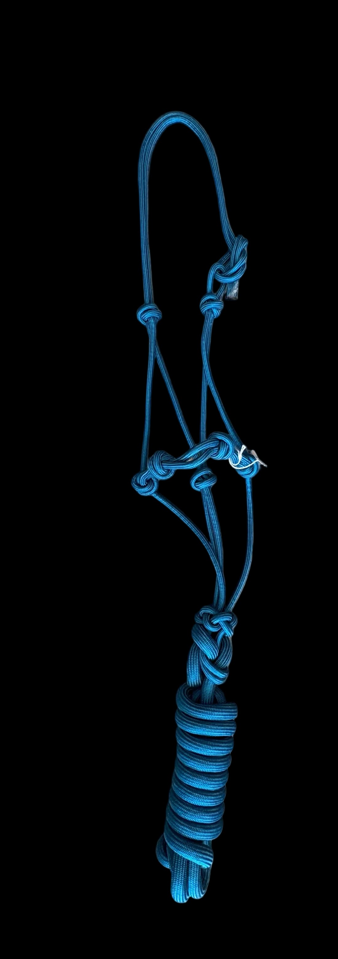 STIFF Rope Halters with Lead