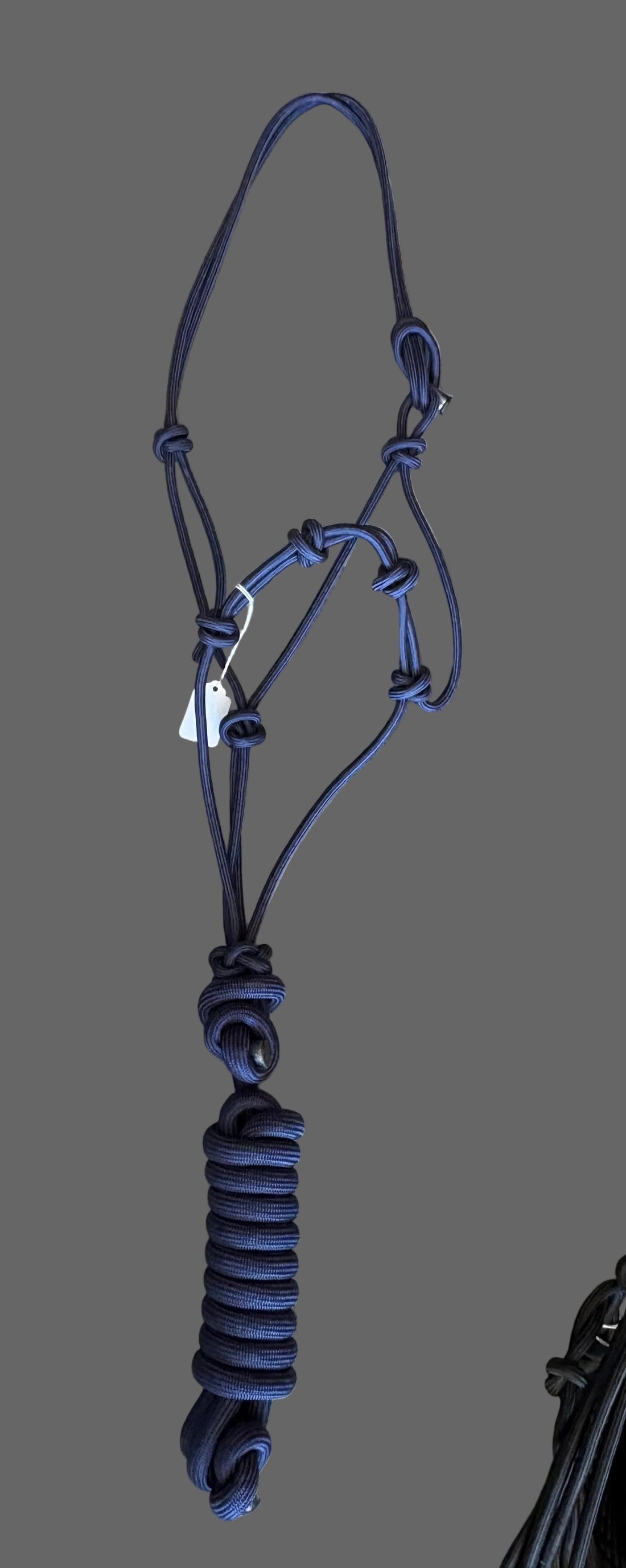 STIFF Rope Halters with Lead