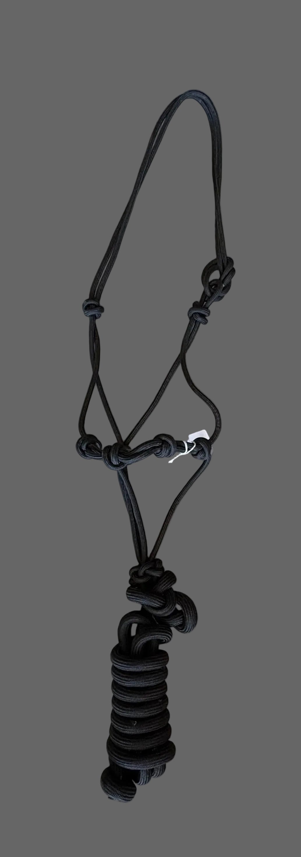 STIFF Rope Halters with Lead