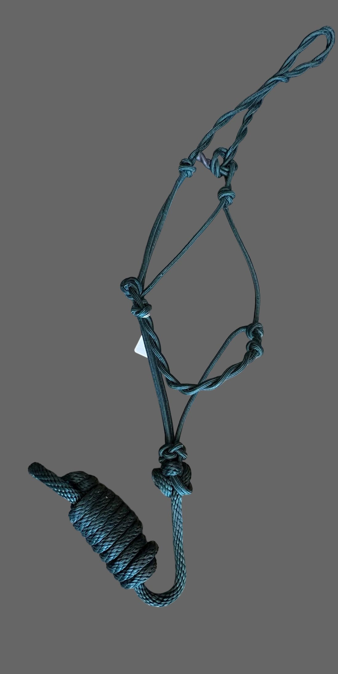 STIFF Rope Halters with Lead