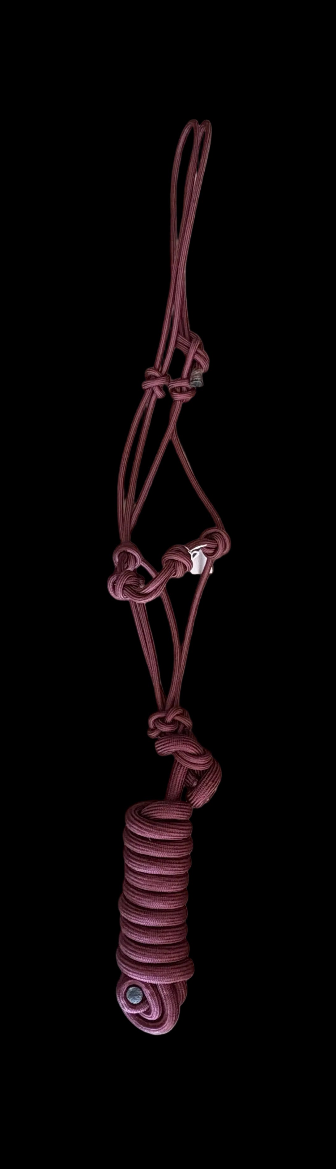 STIFF Rope Halters with Lead