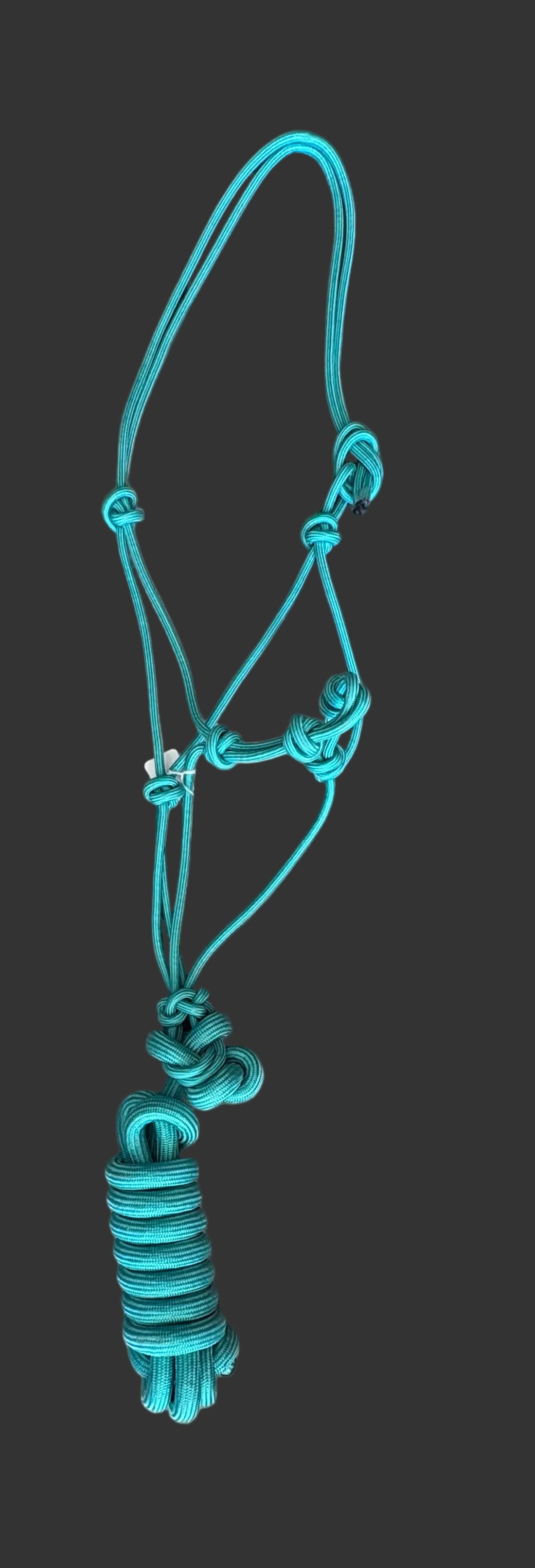 STIFF Rope Halters with Lead