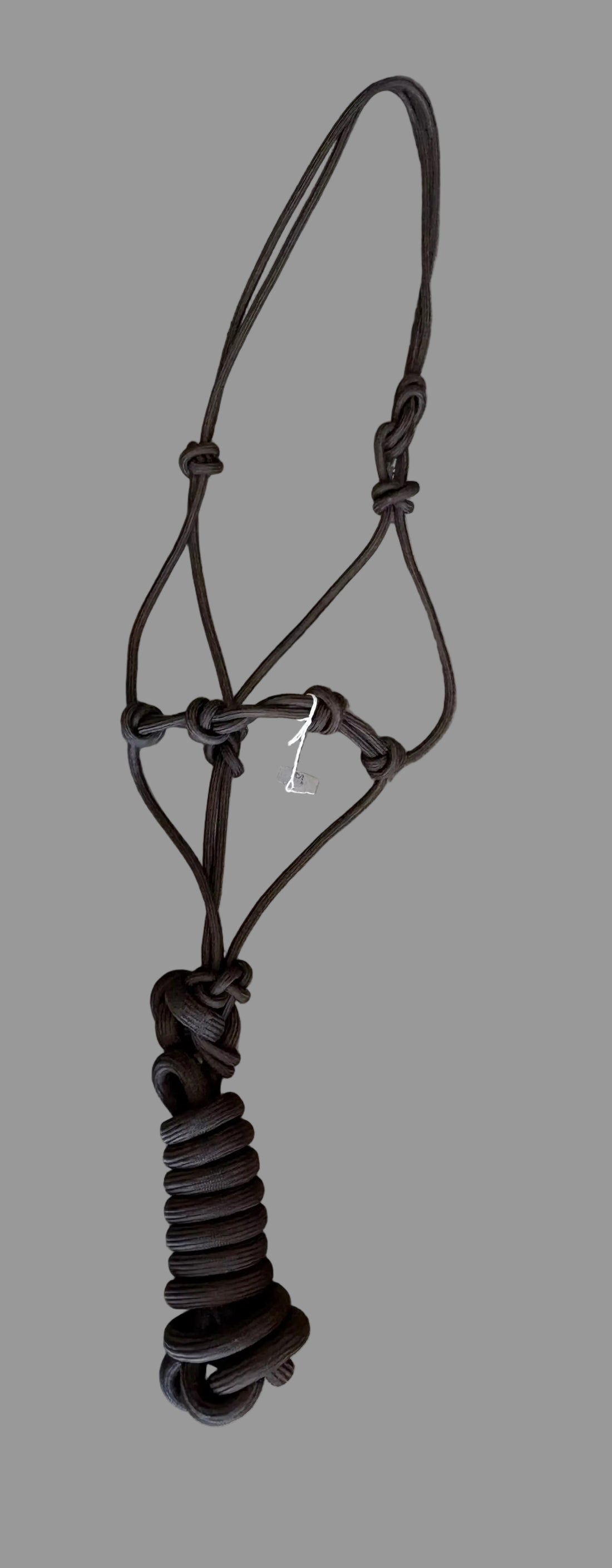 STIFF Rope Halters with Lead
