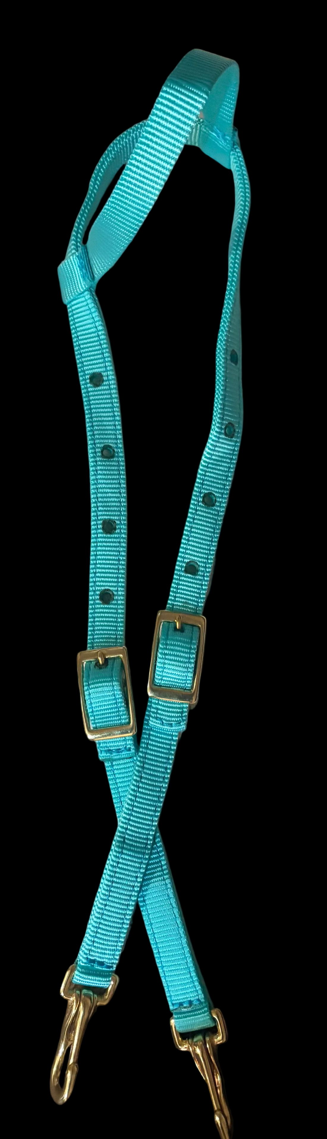 One Ear Nylon Headstall/clips- LIGHT/TURQUOISE
