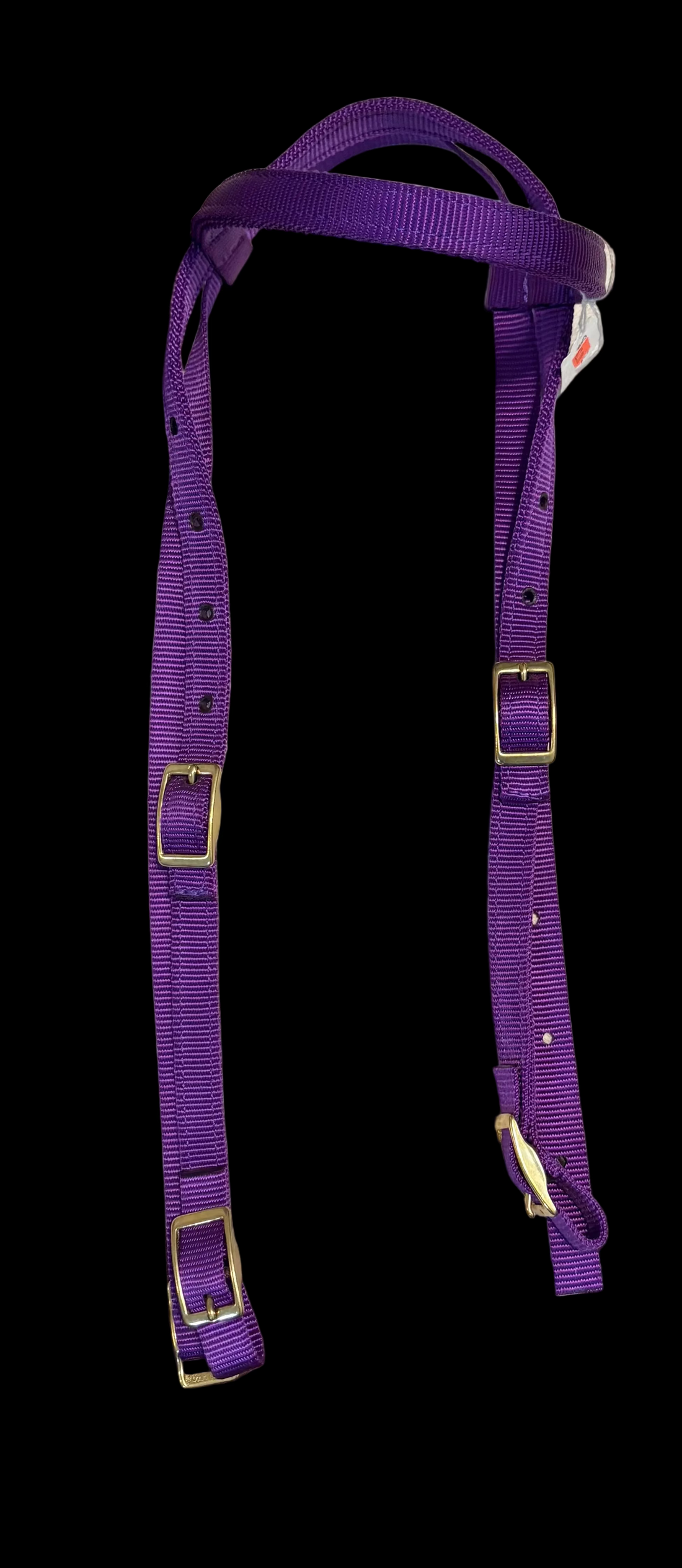 NYLON BROWBAND HEADSTALL